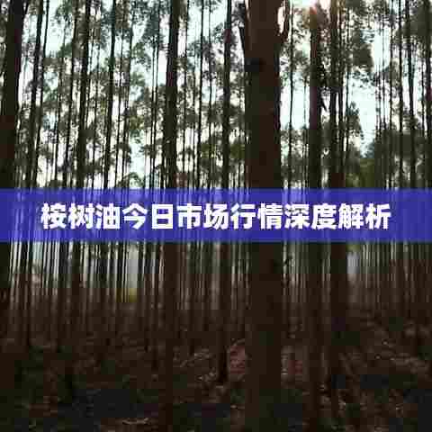 桉树油今日市场行情深度解析