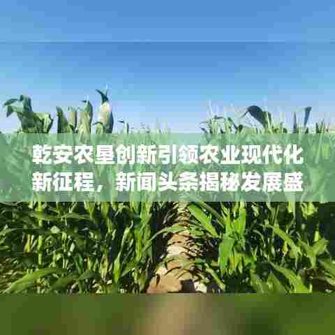 乾安农垦创新引领农业现代化新征程，新闻头条揭秘发展盛景