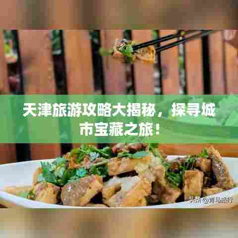 天津旅游攻略大揭秘，探寻城市宝藏之旅！