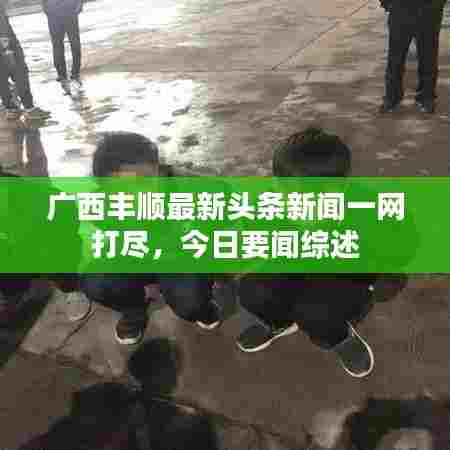 广西丰顺最新头条新闻一网打尽，今日要闻综述