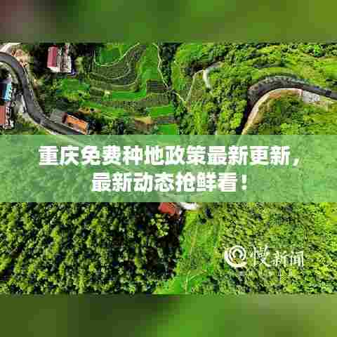 重庆免费种地政策最新更新,最新动态抢鲜看!