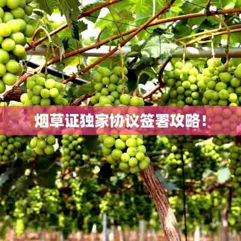 烟草证独家协议签署攻略！