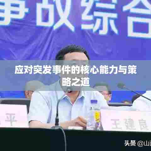 应对突发事件的核心能力与策略之道