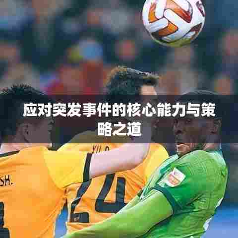 应对突发事件的核心能力与策略之道