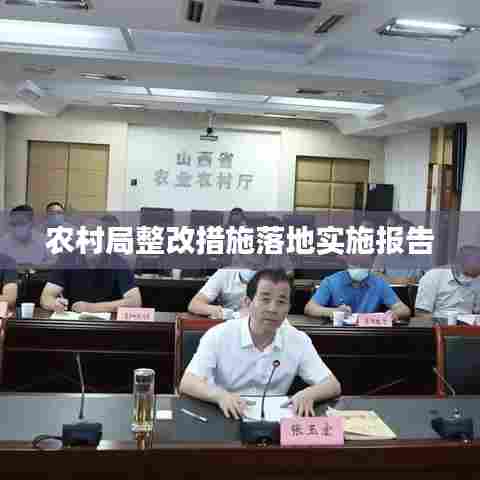 农村局整改措施落地实施报告