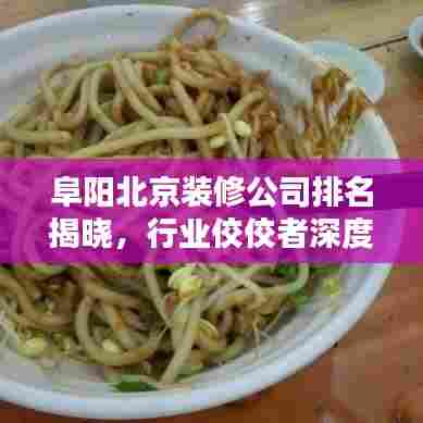阜阳北京装修公司排名揭晓,行业佼佼者深度探寻
