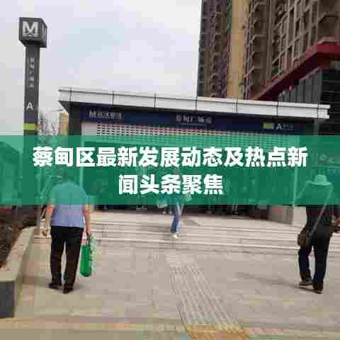 蔡甸区最新发展动态及热点新闻头条聚焦
