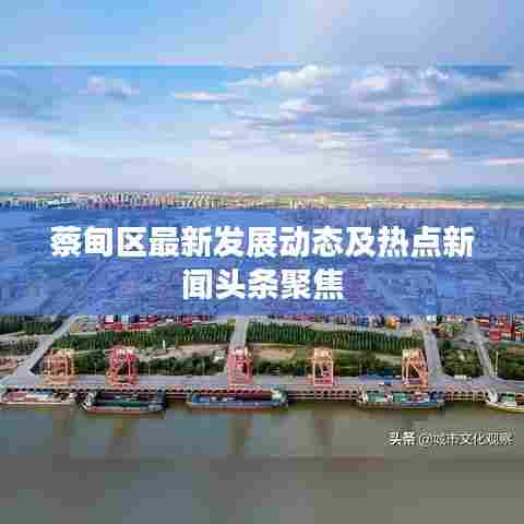 蔡甸区最新发展动态及热点新闻头条聚焦