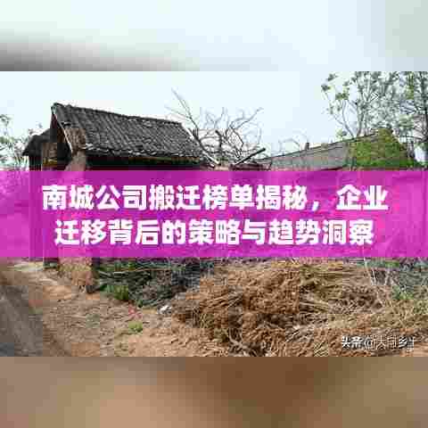 南城公司搬迁榜单揭秘，企业迁移背后的策略与趋势洞察
