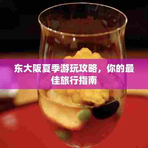 东大阪夏季游玩攻略，你的最佳旅行指南