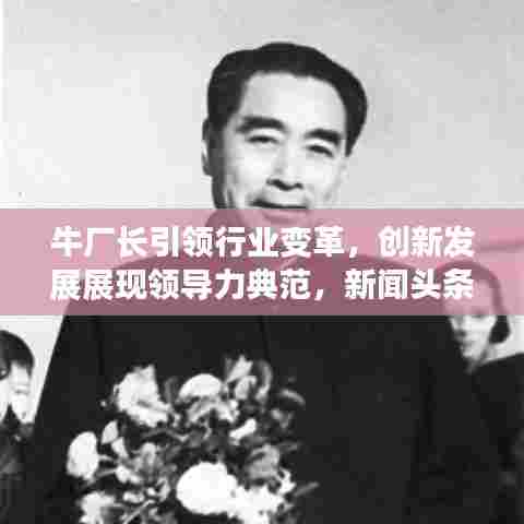 牛厂长引领行业变革,创新发展展现领导力典范,新闻头条聚焦关注