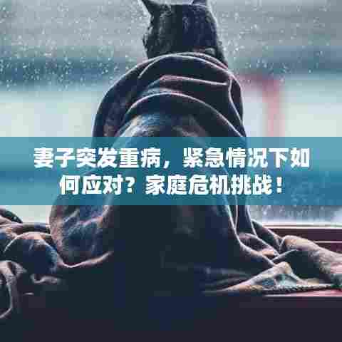 妻子突发重病，紧急情况下如何应对？家庭危机挑战！
