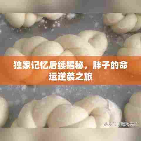 独家记忆后续揭秘,胖子的命运逆袭之旅