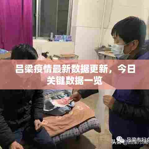 吕梁疫情最新数据更新，今日关键数据一览