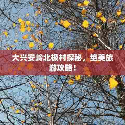 大兴安岭北极村探秘，绝美旅游攻略！