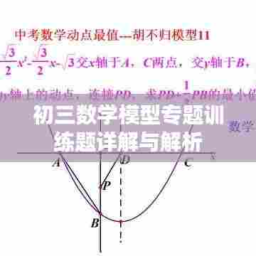 初三数学模型专题训练题详解与解析