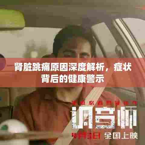 肾脏跳痛原因深度解析，症状背后的健康警示