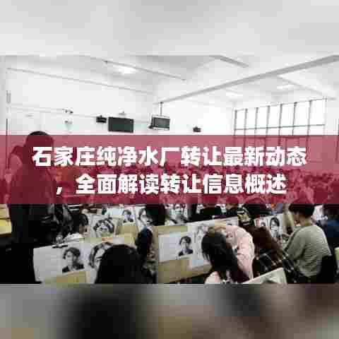 石家庄纯净水厂转让最新动态，全面解读转让信息概述