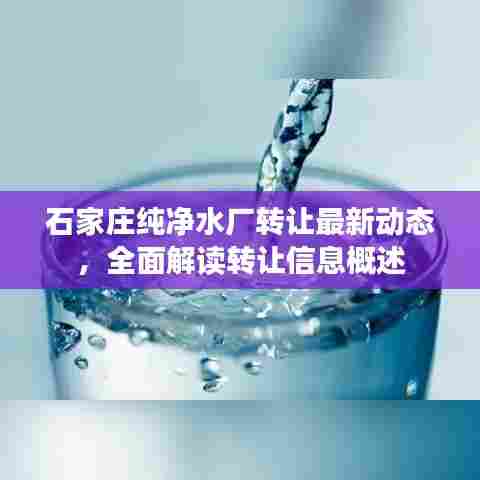 石家庄纯净水厂转让最新动态,全面解读转让信息概述