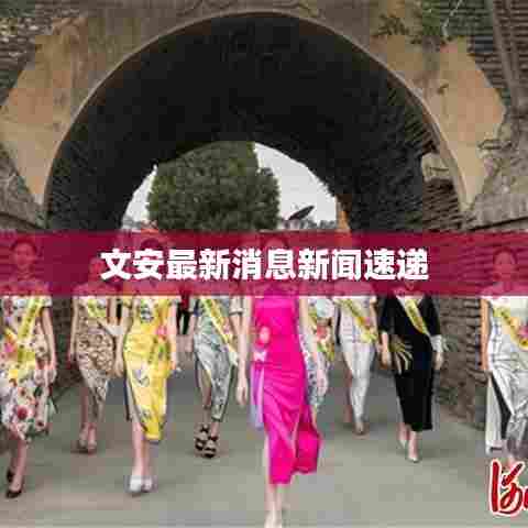 文安最新消息新闻速递
