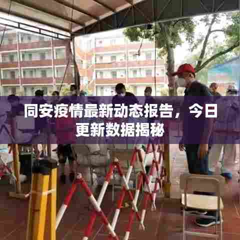 同安疫情最新动态报告，今日更新数据揭秘