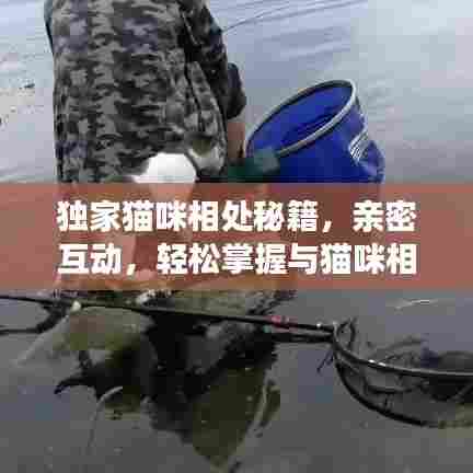 独家猫咪相处秘籍，亲密互动，轻松掌握与猫咪相处的艺术教学视频