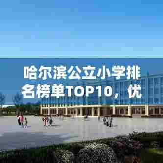 哈尔滨公立小学排名榜单TOP10,优质教育资源一览