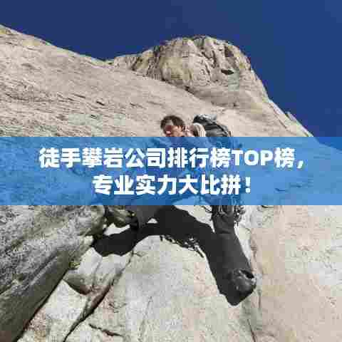 徒手攀岩公司排行榜TOP榜,专业实力大比拼!