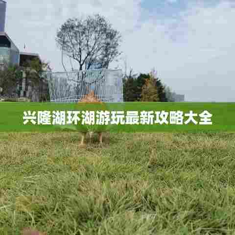兴隆湖环湖游玩最新攻略大全