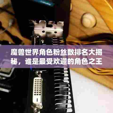 魔兽世界角色粉丝数排名大揭秘，谁是最受欢迎的角色之王？