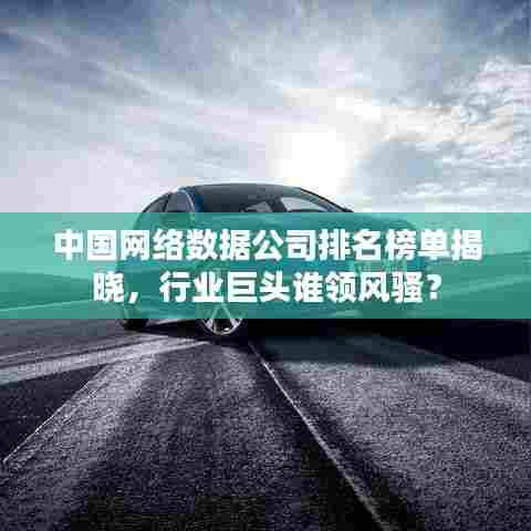 中国网络数据公司排名榜单揭晓，行业巨头谁领风骚？