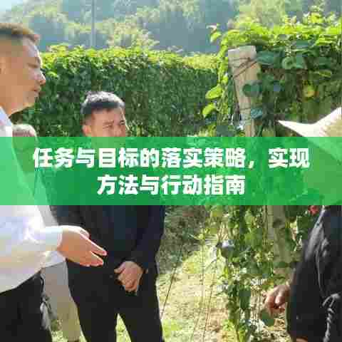 任务与目标的落实策略,实现方法与行动指南