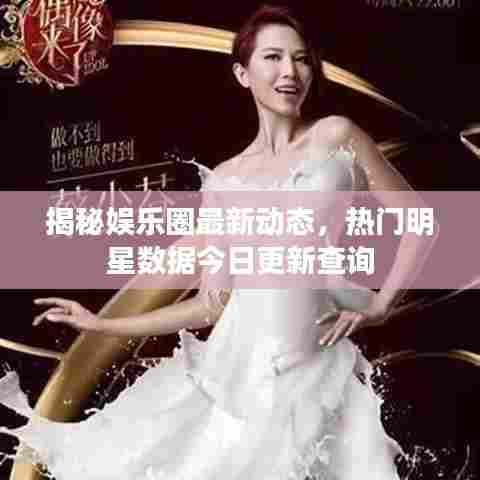揭秘娱乐圈最新动态，热门明星数据今日更新查询