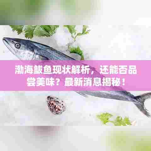 声如洪钟 第6页