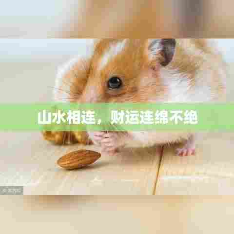 斗志昂扬 第5页