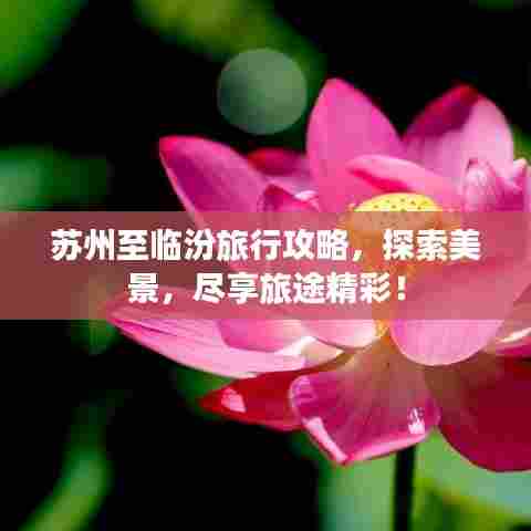 苏州至临汾旅行攻略，探索美景，尽享旅途精彩！