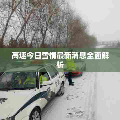 高速今日雪情最新消息全面解析
