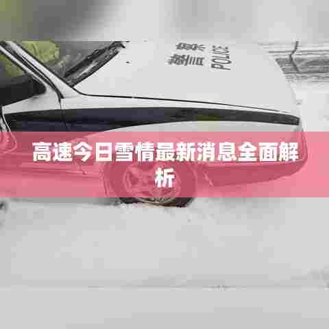 高速今日雪情最新消息全面解析