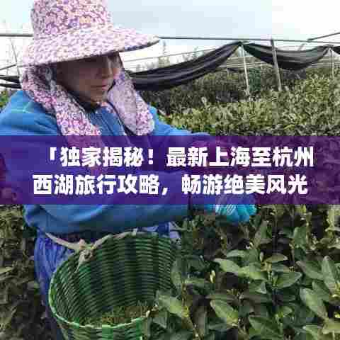 「独家揭秘！最新上海至杭州西湖旅行攻略，畅游绝美风光！」