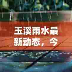 玉溪雨水最新动态，今日消息视频全解析