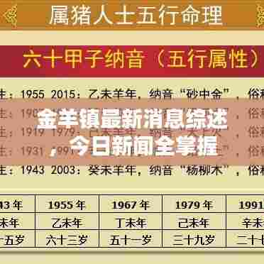 金羊镇最新消息综述，今日新闻全掌握