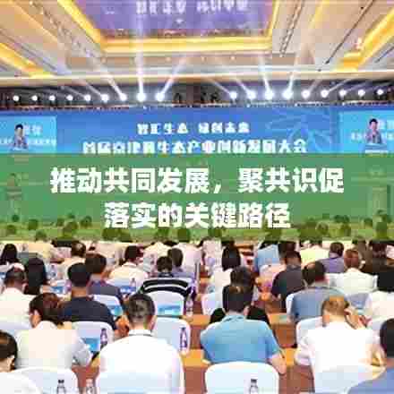 推动共同发展,聚共识促落实的关键路径