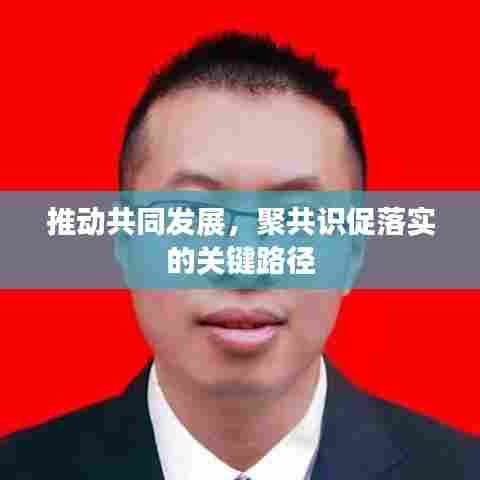 推动共同发展,聚共识促落实的关键路径