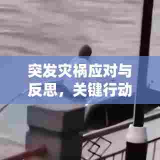 突发灾祸应对与反思，关键行动指南