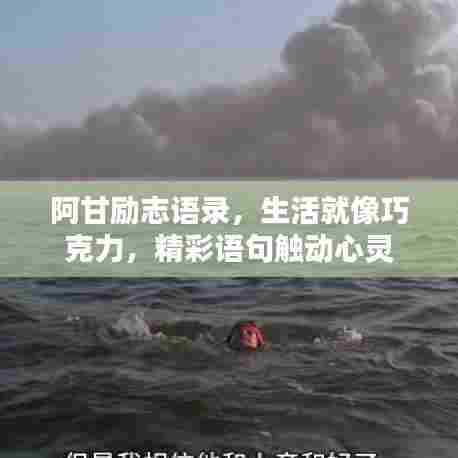 阿甘励志语录，生活就像巧克力，精彩语句触动心灵