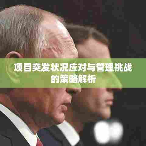 项目突发状况应对与管理挑战的策略解析
