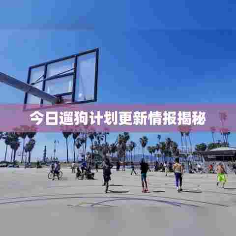 今日遛狗计划更新情报揭秘