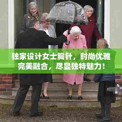 独家设计女士胸针，时尚优雅完美融合，尽显独特魅力！