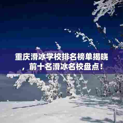 重庆滑冰学校排名榜单揭晓,前十名滑冰名校盘点!
