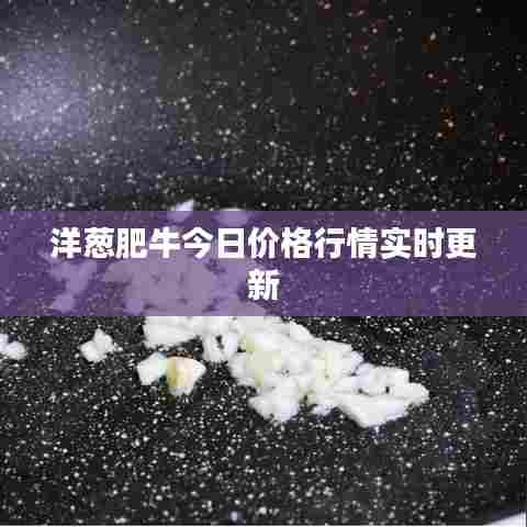 洋葱肥牛今日价格行情实时更新